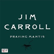 Jim Carroll - Praying Mantis