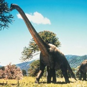 Brachiosaurus