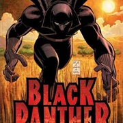 BLACK PANTHER: WHO IS BLACK PANTHER? (BLACK PANTHER 1-5, 2005)