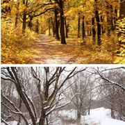 Autumn  &amp; Winter