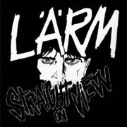 Larm- Straight on View