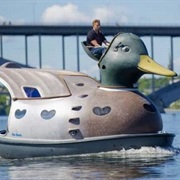 Duck Boat