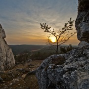 Jura Krakowsko-Częstochowska