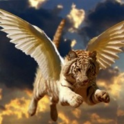 Winged Tiger