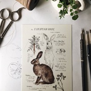 Nature Journal