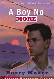 A Boy No More (Harry Mazer)