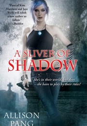 A Sliver of Shadow (Allison Pang)