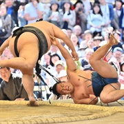 Any Pro Sumo Event