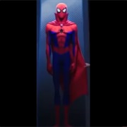 Spider-Man Suit 5