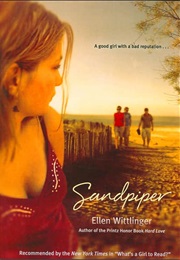 Sandpiper (Ellen Wittlinger)