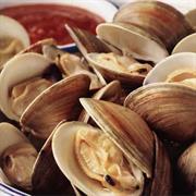 Littleneck Clam