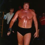 Ted Dibiase