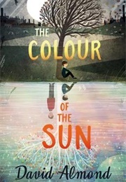 The Colour of the Sun (David Almond)