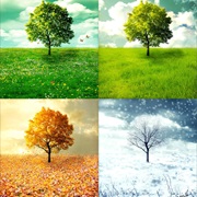 Seasons Are Caused by How Close the Earth Is to the Sun