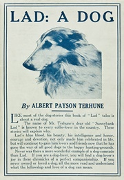 Lad: A Dog (Albert Payson Terhune)