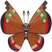 Vivillon (Archipelago Pattern)