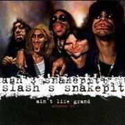 Slash&#39;s Snakepit - Ain&#39;t Life Grand