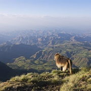 Simien Mountains National Park