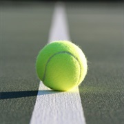 Learn to Play Tennis