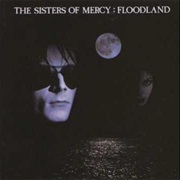 The Sisters of Mercy — Never Land (A Fragment)