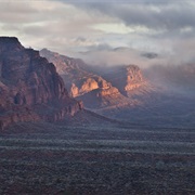 Red Cliffs National Conservation Area