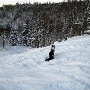 Go Snowboarding Alone
