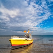 Boat Charters