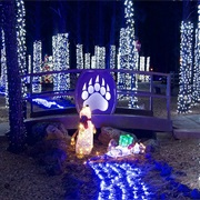 Visit Bearizona&#39;s Winter Wonderland