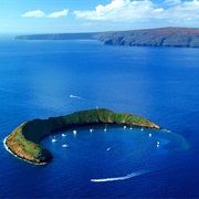 Swimming With Turtles at Molokini Crater in Maui