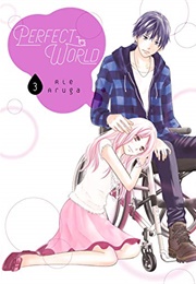 Perfect World Vol. 3 (Rie Aruga)