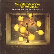 It&#39;s Not the End of the World- Super Furry Animals