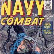 Navy Combat