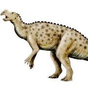 Muttaburrasaurus