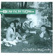 Go Wild in the Country - Bow Wow Wow
