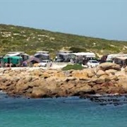 Tietties Bay Camping