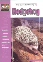 African Pygmy Hedgehog (Dennis Kelsey-Wood)