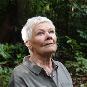 Judi Dench&#39;s Wild Borneo Adventure