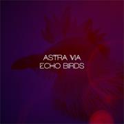 Astra via - Echo Birds