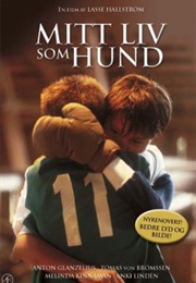 Mitt Liv Som Hund (1985)