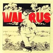 Walrus