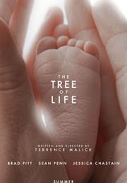 Tree of Life (2011 - Terrence Malick)