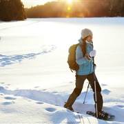 Go Snowshoeing