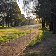 &#39;Royal&#39; Bexley G.C, NSW, Australia