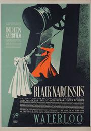 Black Narcissus