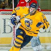 Quinnipiac Bobcats