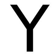 Y