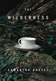 The Wilderness (Samantha Harvey)
