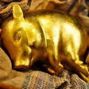 Golden Pig