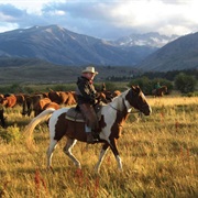 Spend a Week on a Working Ranch