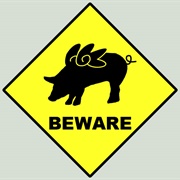 Beware: Flying Pigs